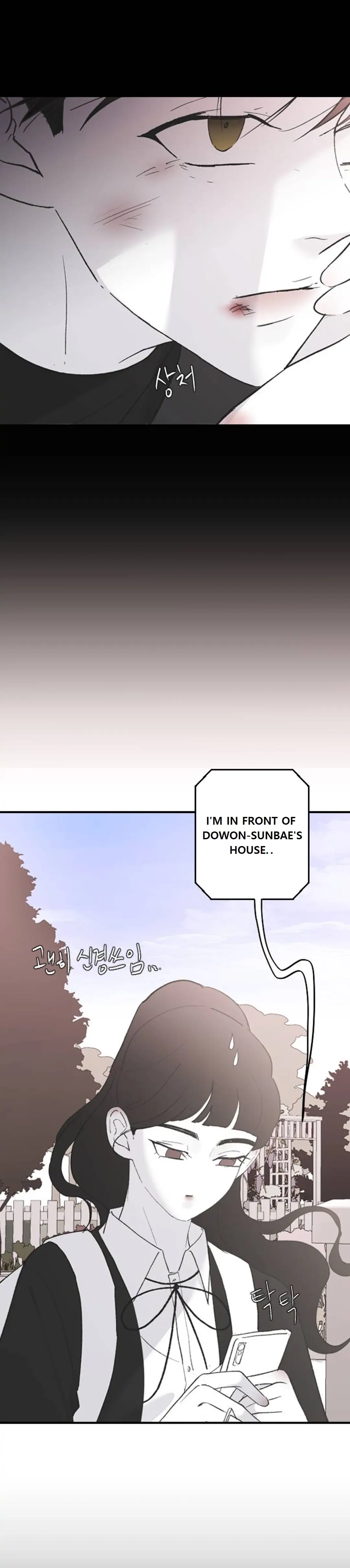 Read Three Brothers Manga Online