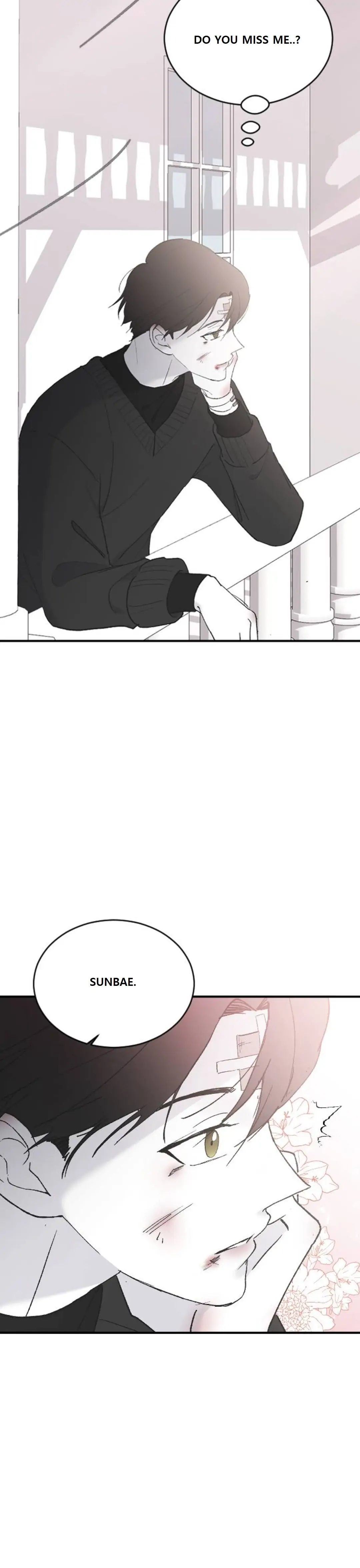 Read Three Brothers Manga Online