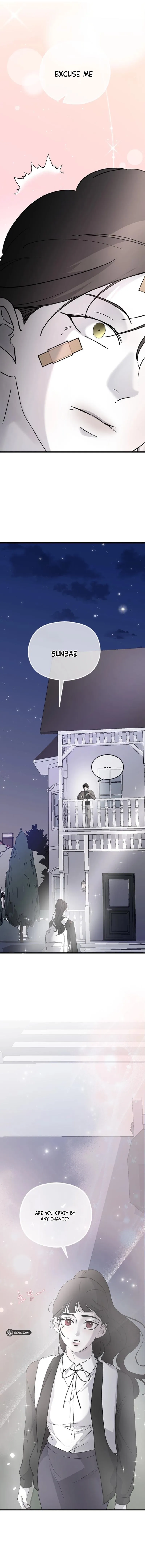 Read Three Brothers Manga Online