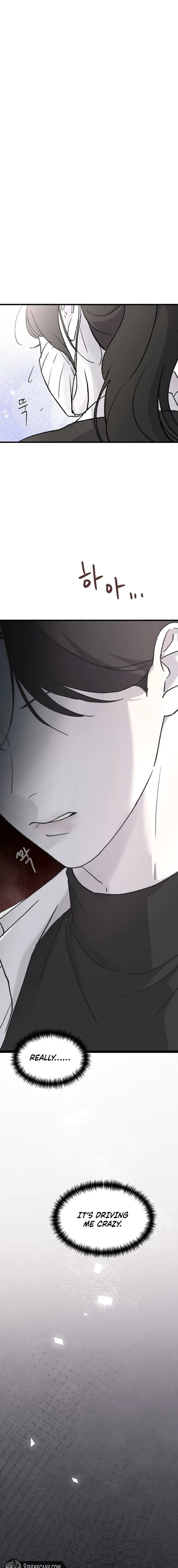 Read Three Brothers Manga Online