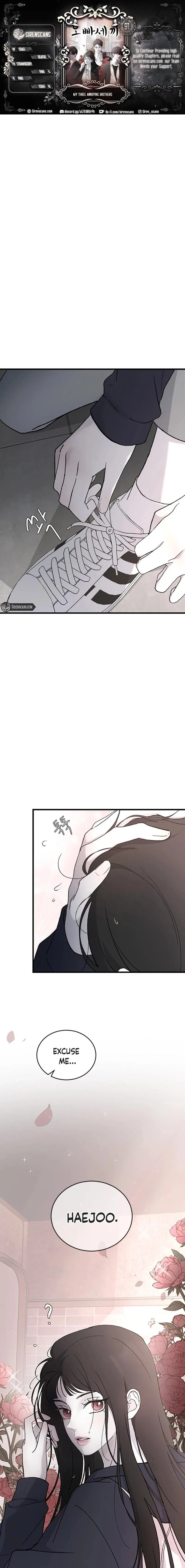 Read Three Brothers Manga Online