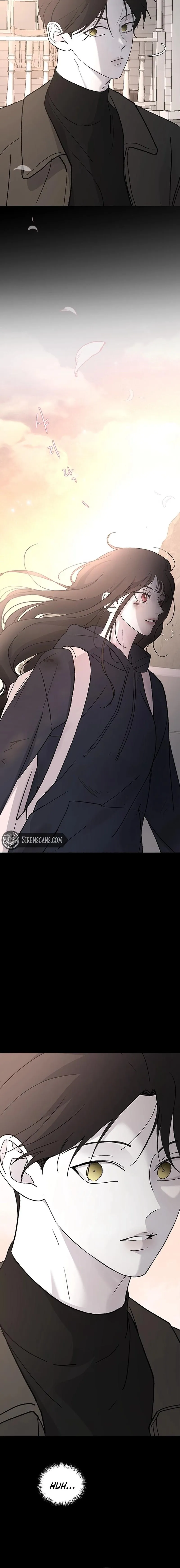 Read Three Brothers Manga Online