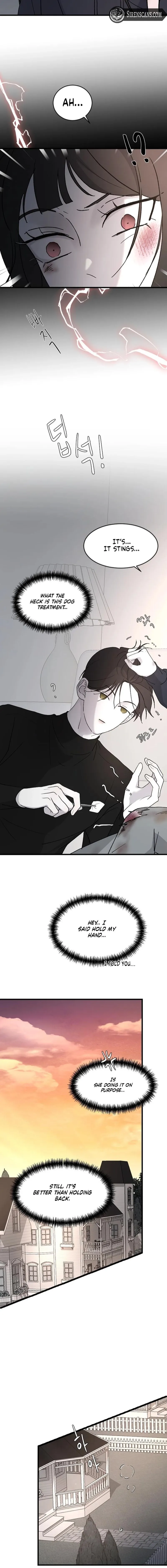 Read Three Brothers Manga Online