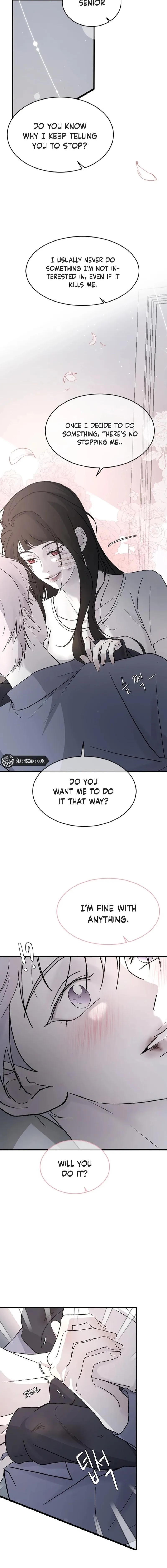 Read Three Brothers Manga Online