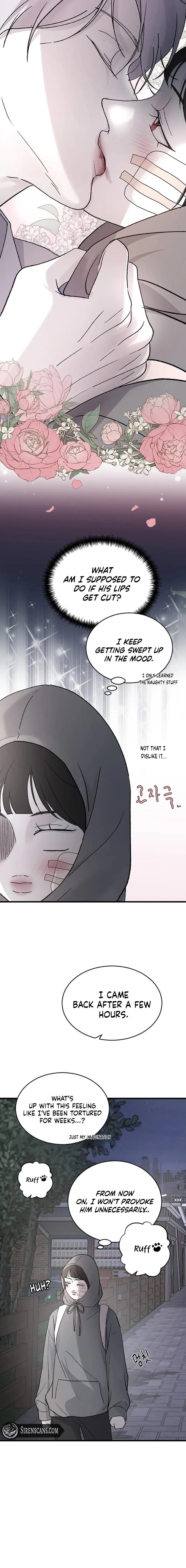 Read Three Brothers Manga Online