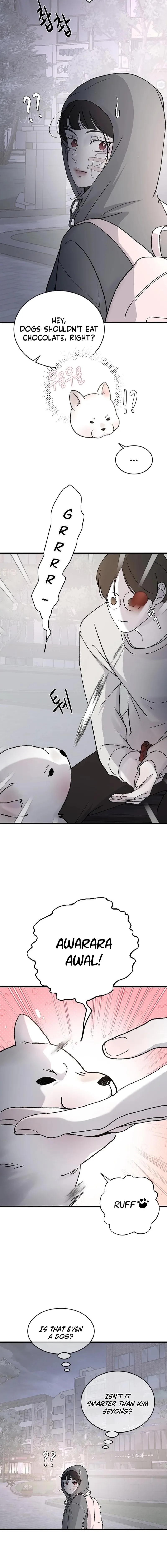 Read Three Brothers Manga Online