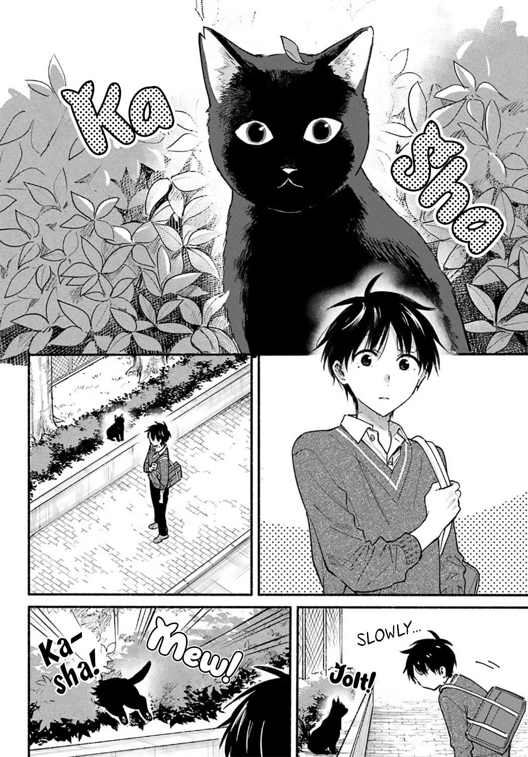 Read Tonari no Neko to Koi Shirazu Manga Online