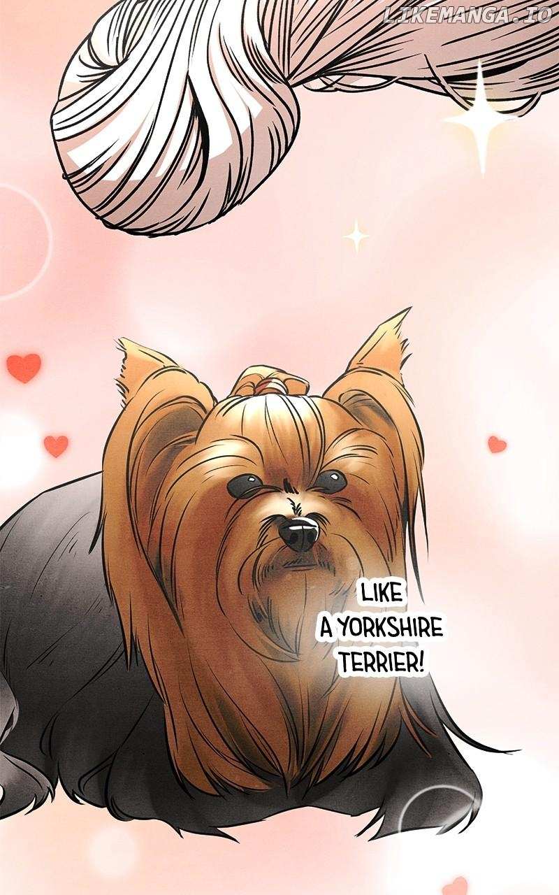 Read Who's That Long-Haired Senior RSS Feed Manga Online