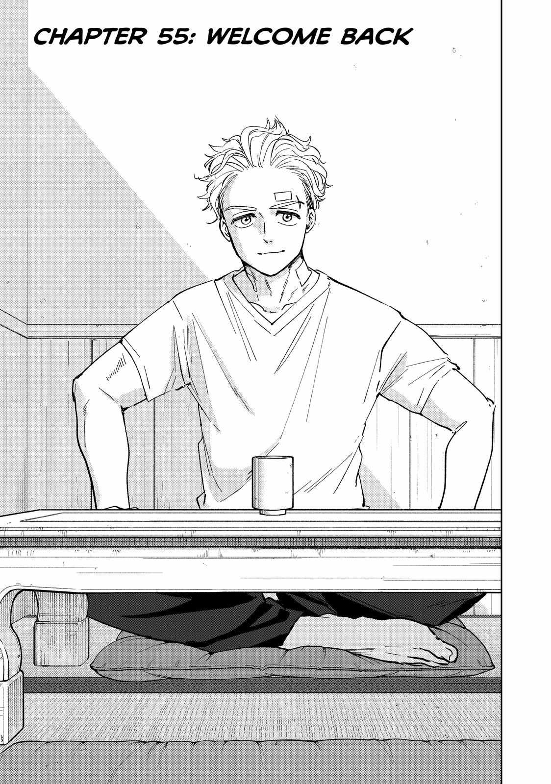 Read Wind Breaker (NII Satoru) Manga Online