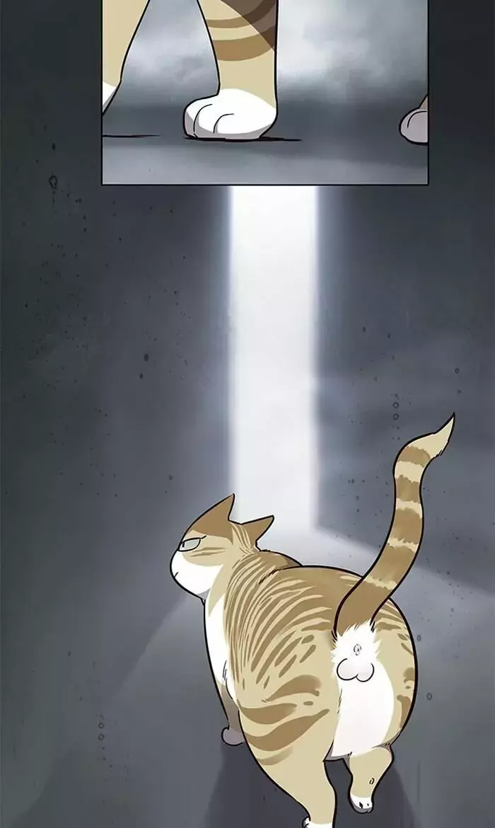 Read Electricidad veloz (es) Manga Online
