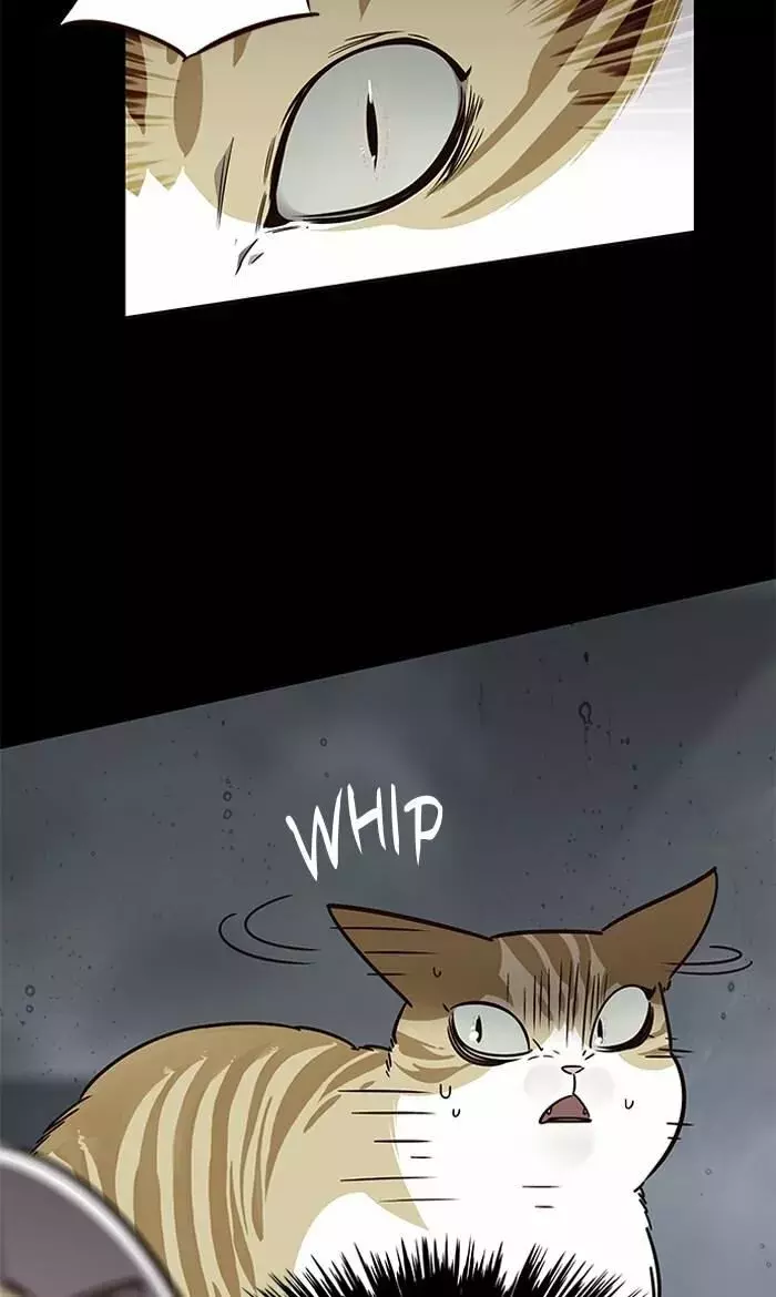 Read Electricidad veloz (es) Manga Online
