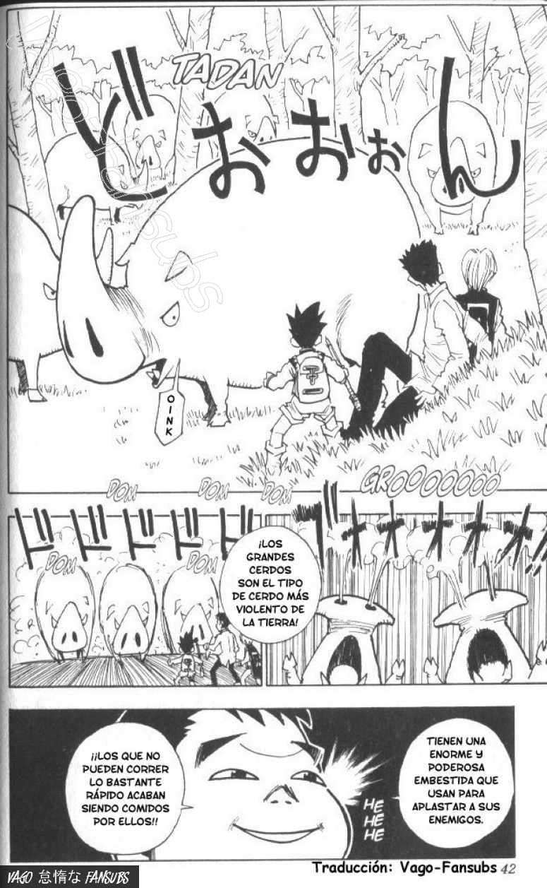 Read Hunter X Hunter (es) Manga Online