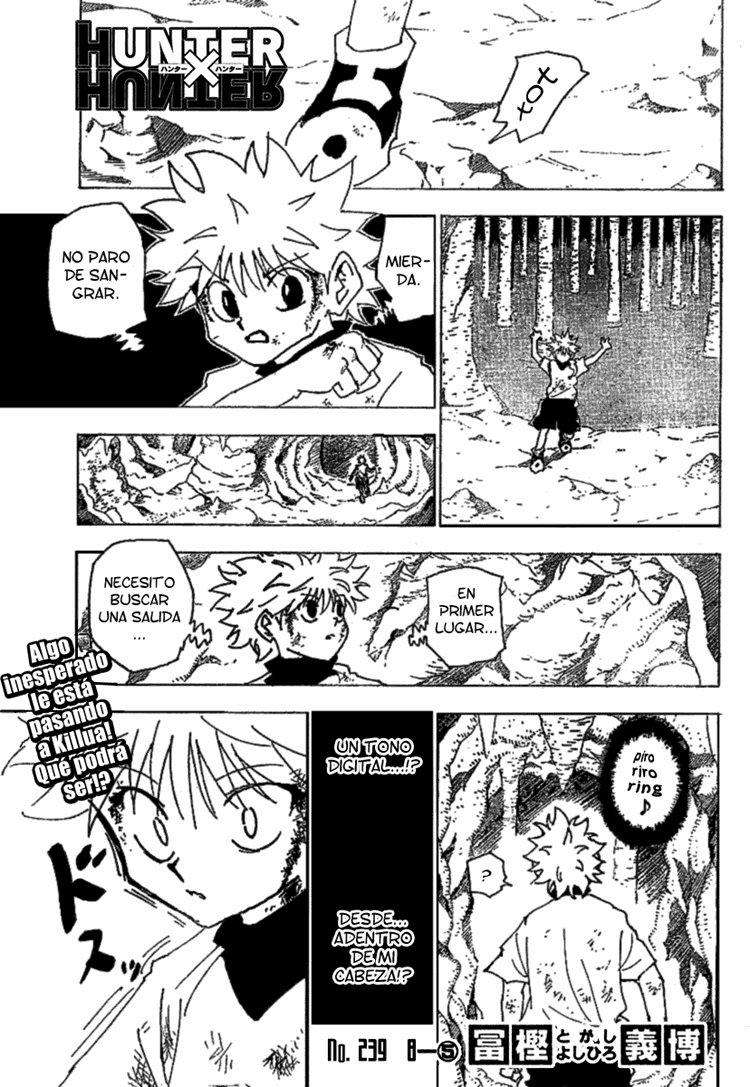 Read Hunter X Hunter (es) Manga Online