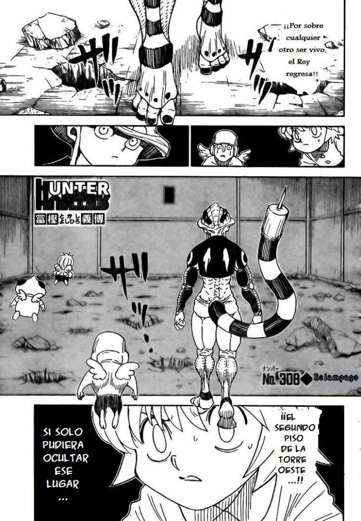 Read Hunter X Hunter (es) Manga Online