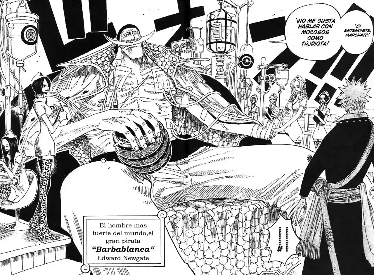 Read One Piece (es) Manga Online