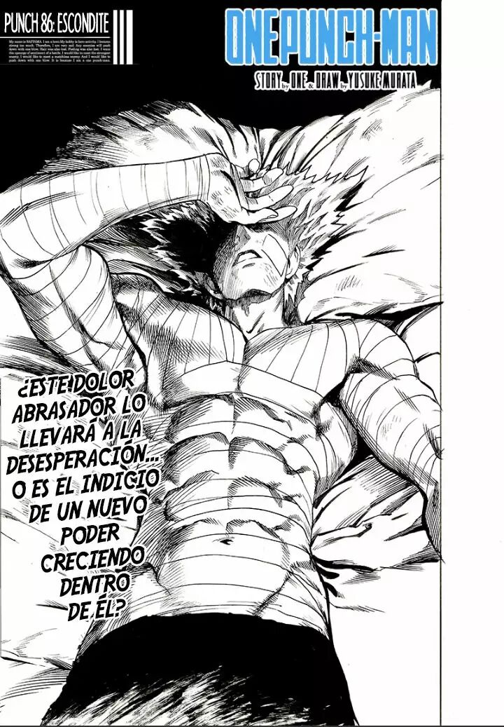 Read One Punch-Man (es) Manga Online