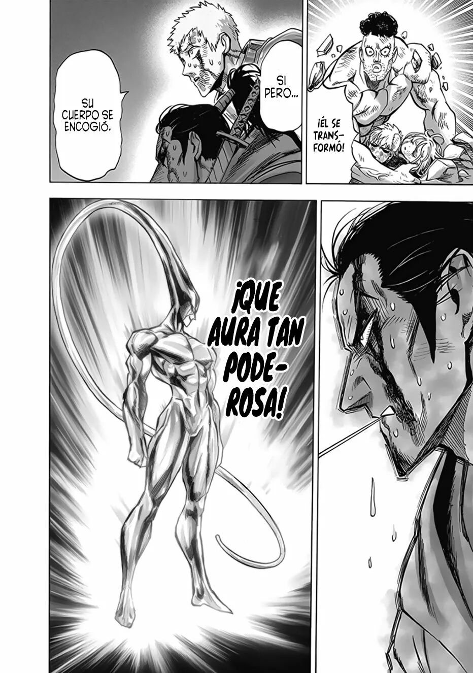 Read One Punch-Man (es) Manga Online