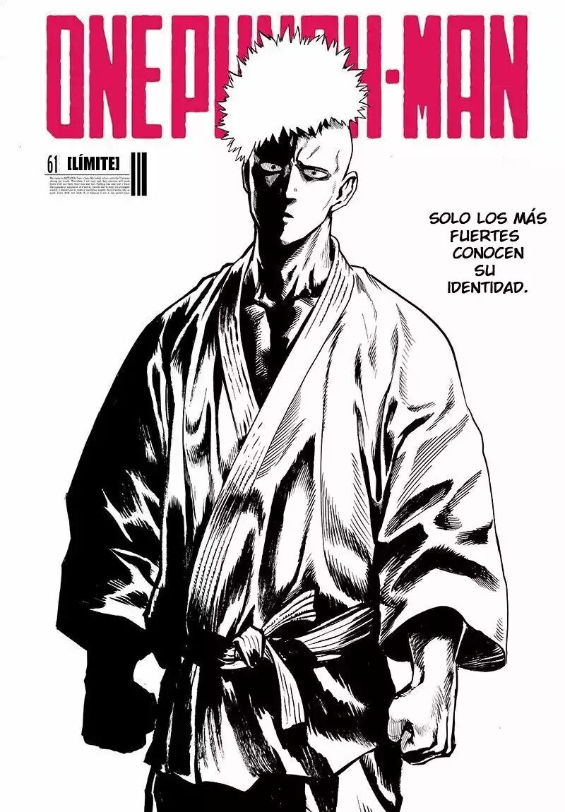 Read One Punch-Man (es) Manga Online