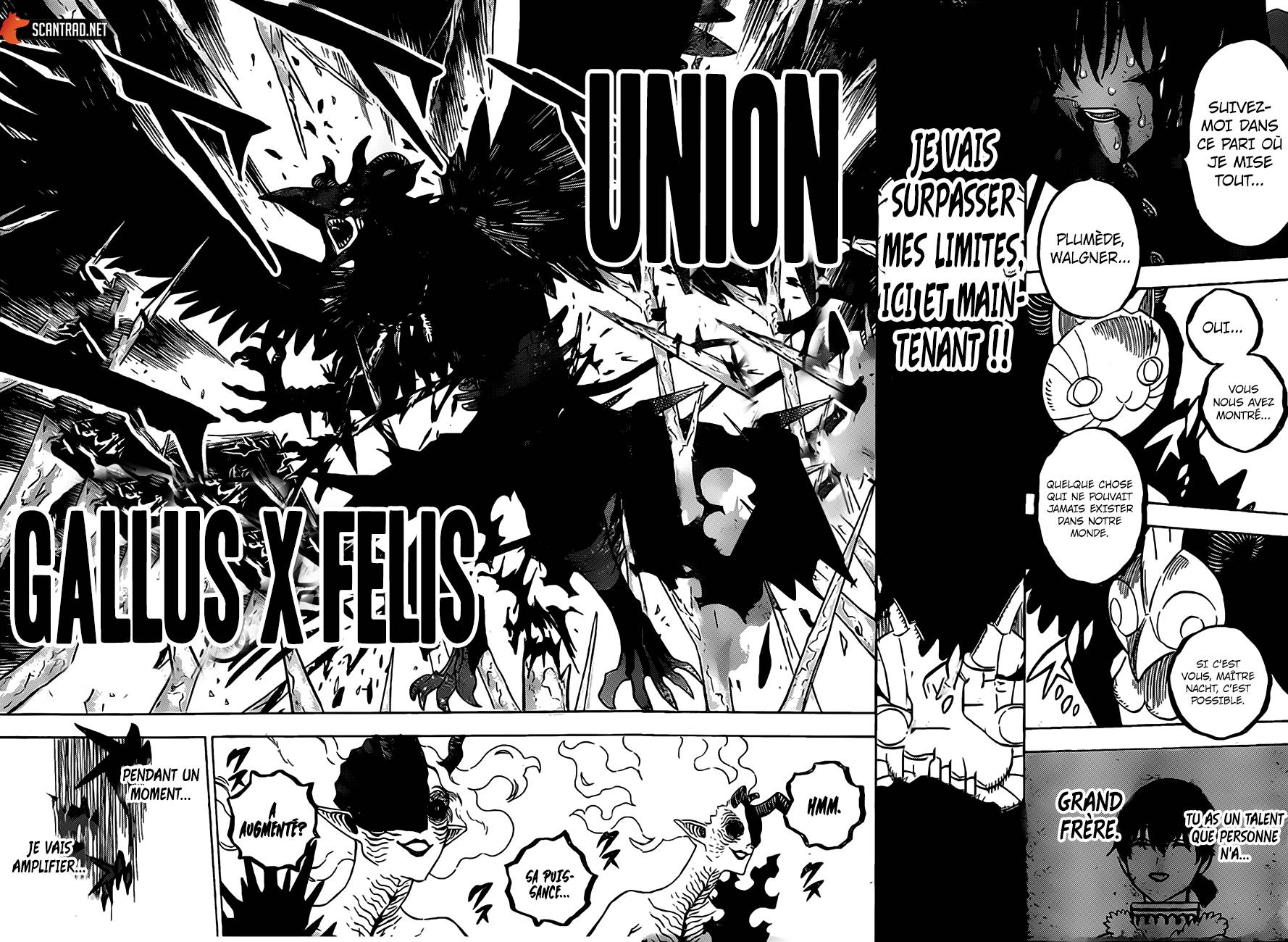 Read Black Clover (fr) Manga Online
