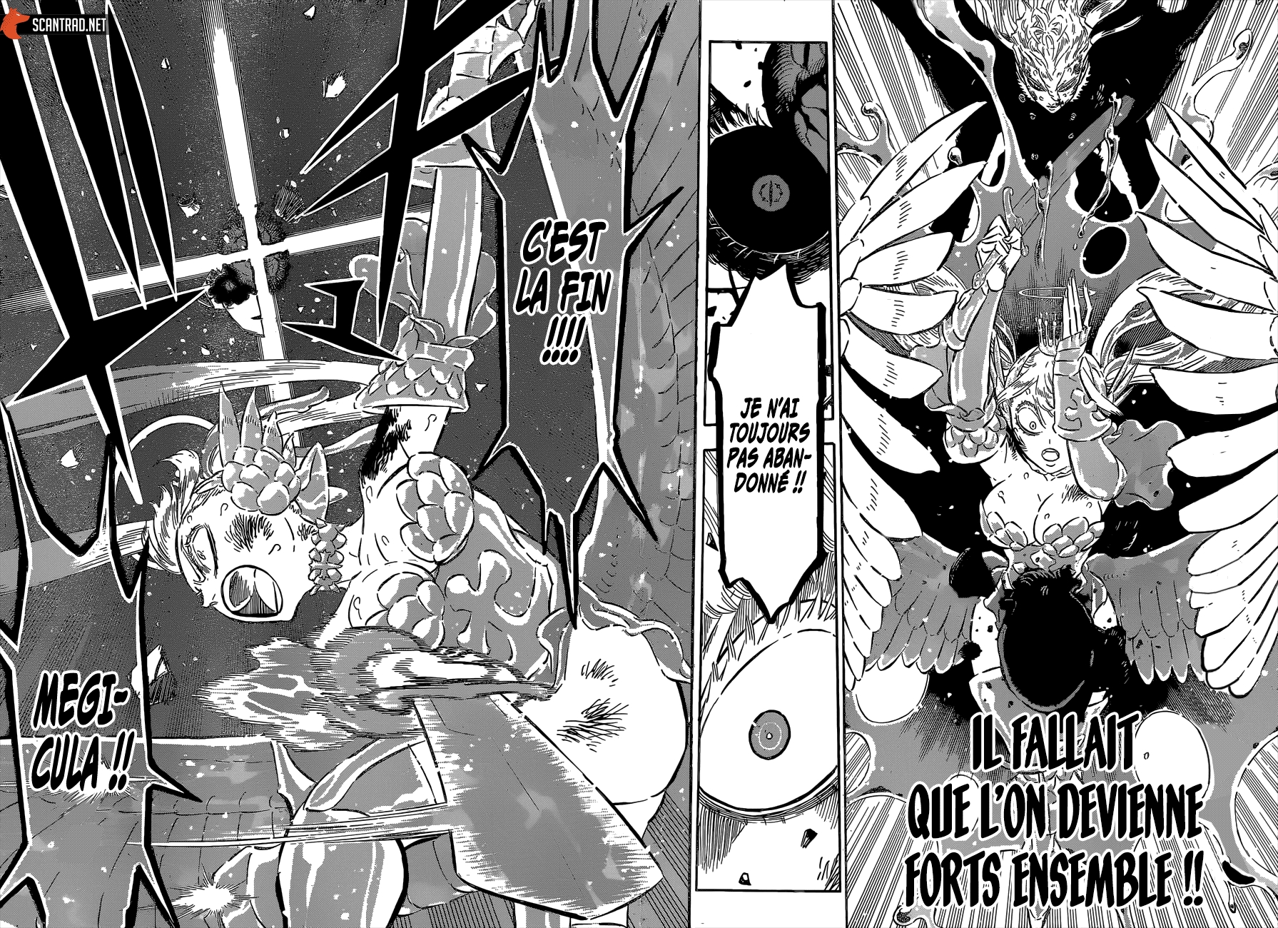 Read Black Clover (fr) Manga Online
