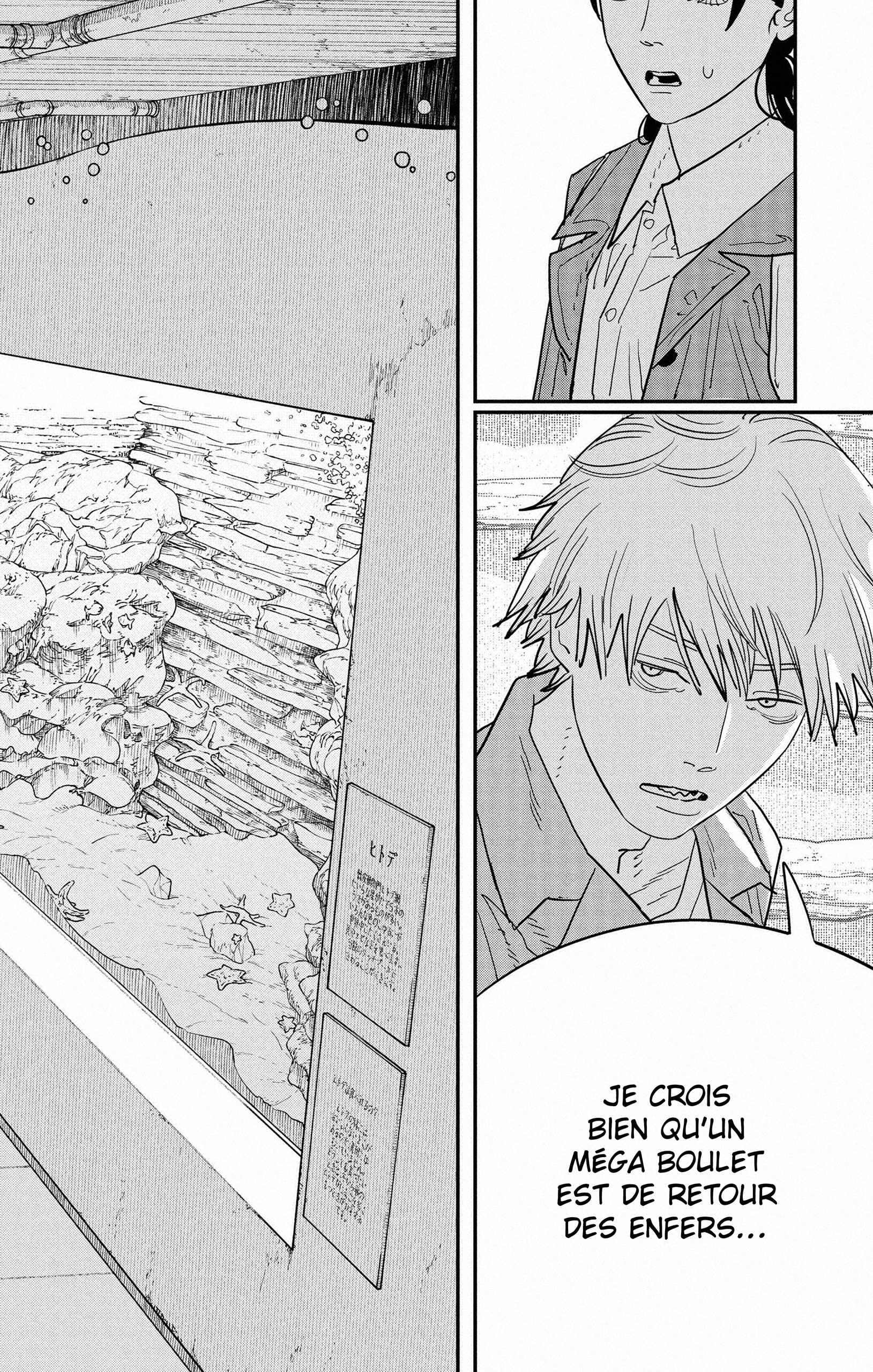 Read Chainsaw man (fr) Manga Online