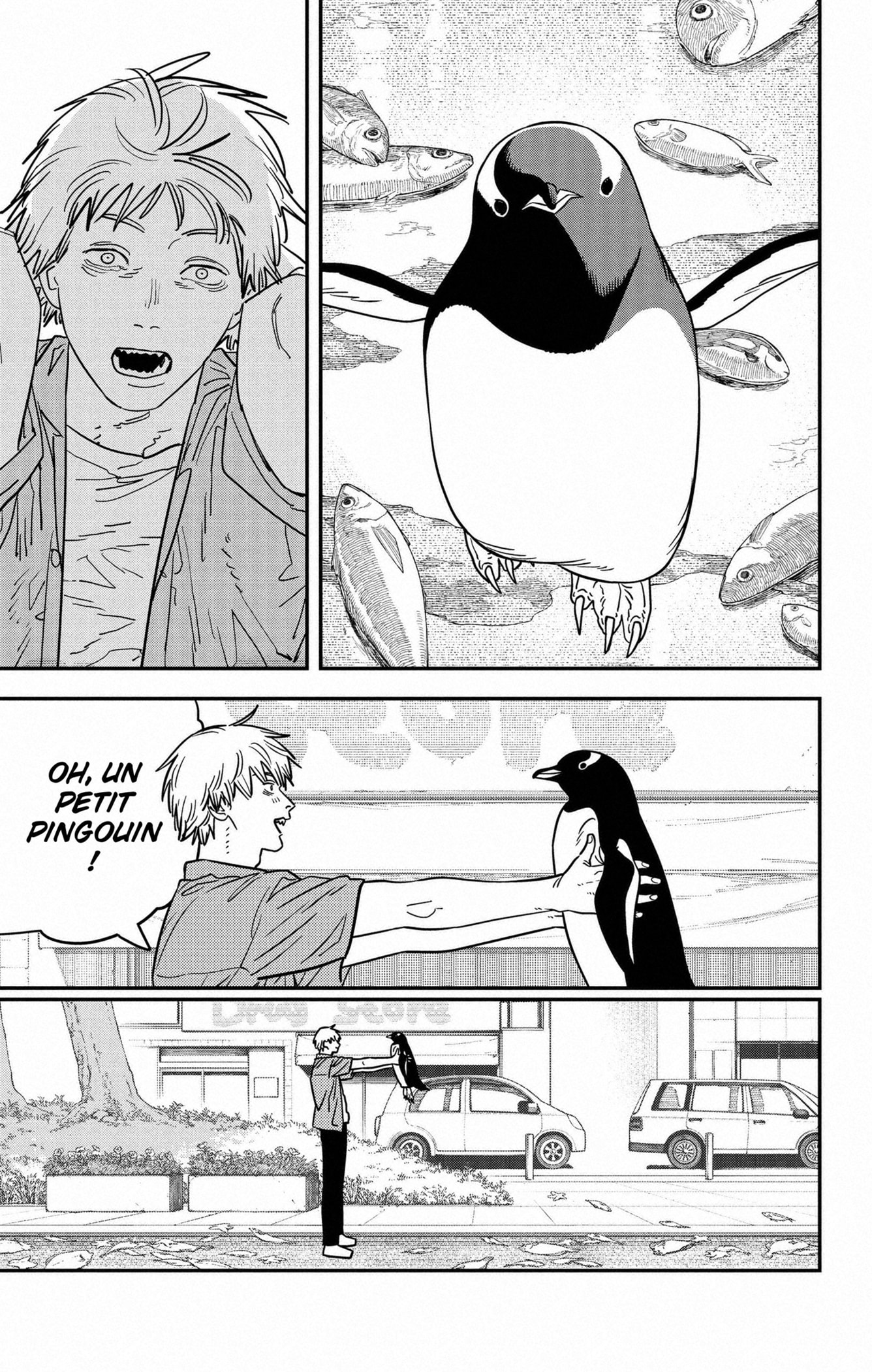 Read Chainsaw man (fr) Manga Online