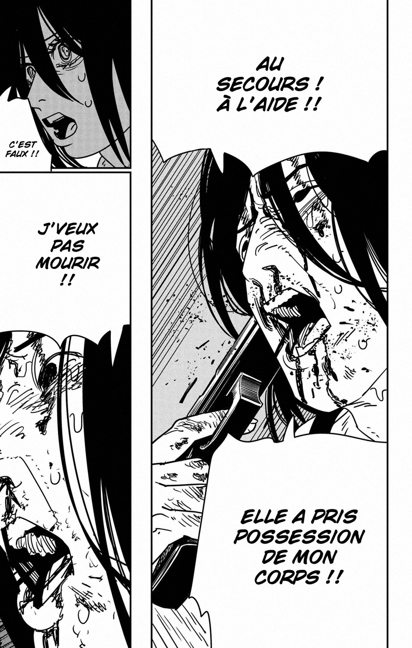 Read Chainsaw man (fr) Manga Online