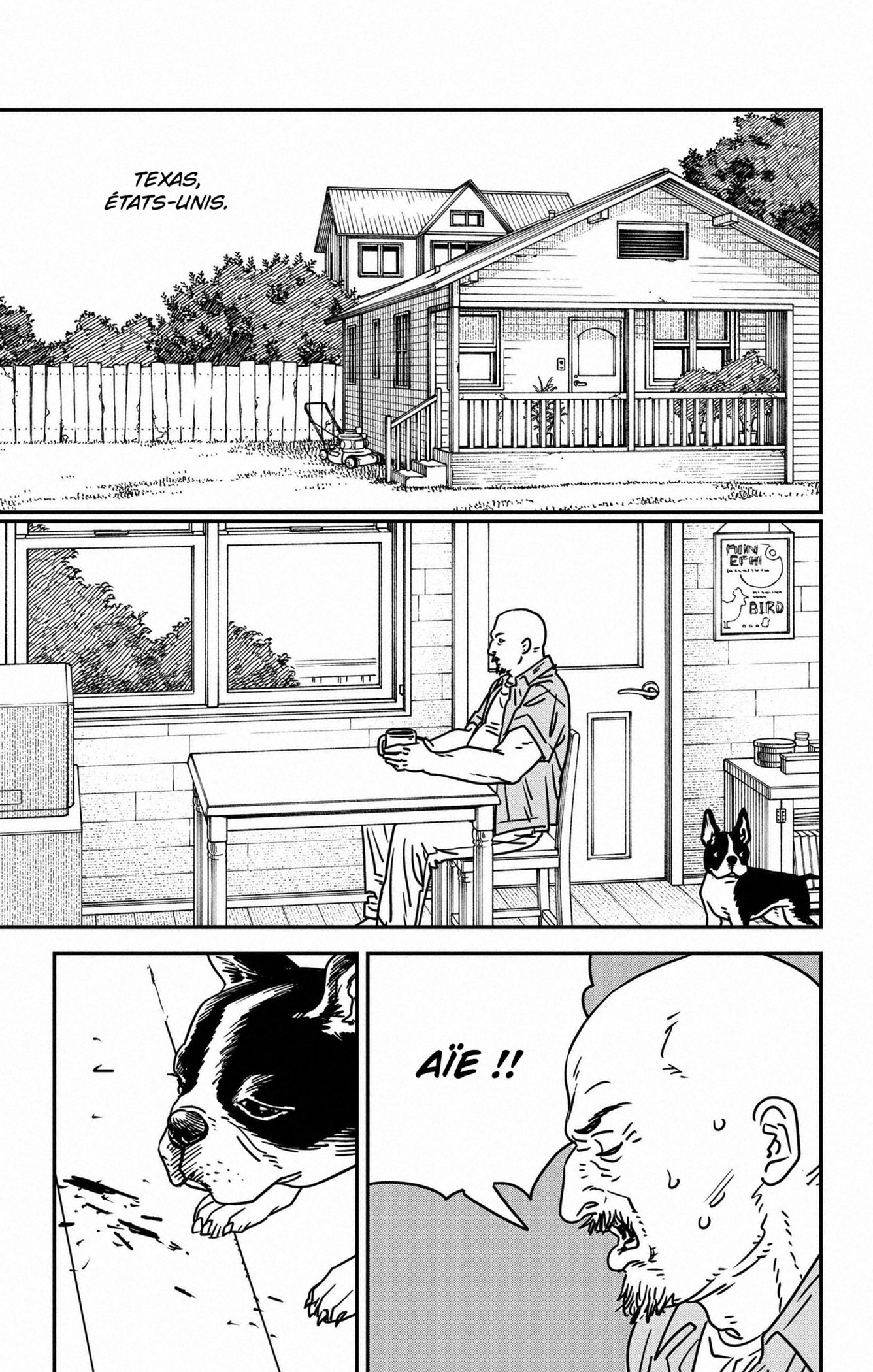 Read Chainsaw man (fr) Manga Online