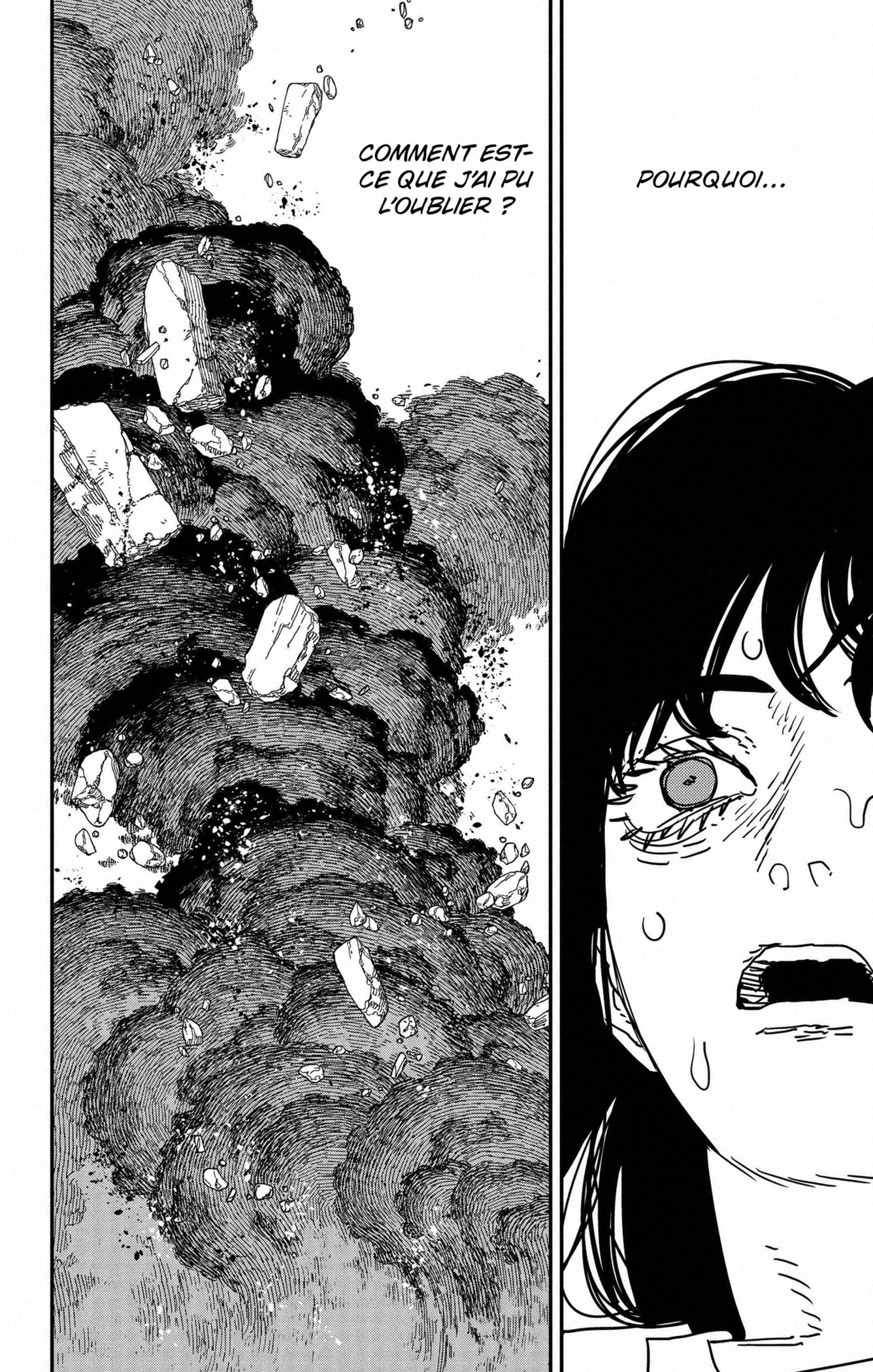 Read Chainsaw man (fr) Manga Online