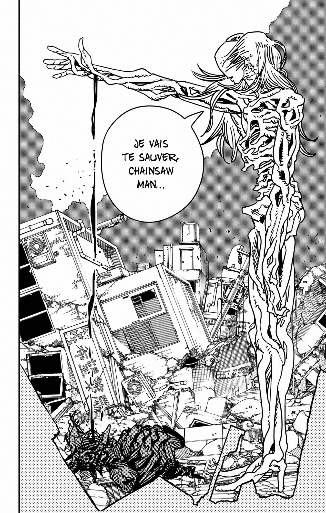 Read Chainsaw man (fr) Manga Online