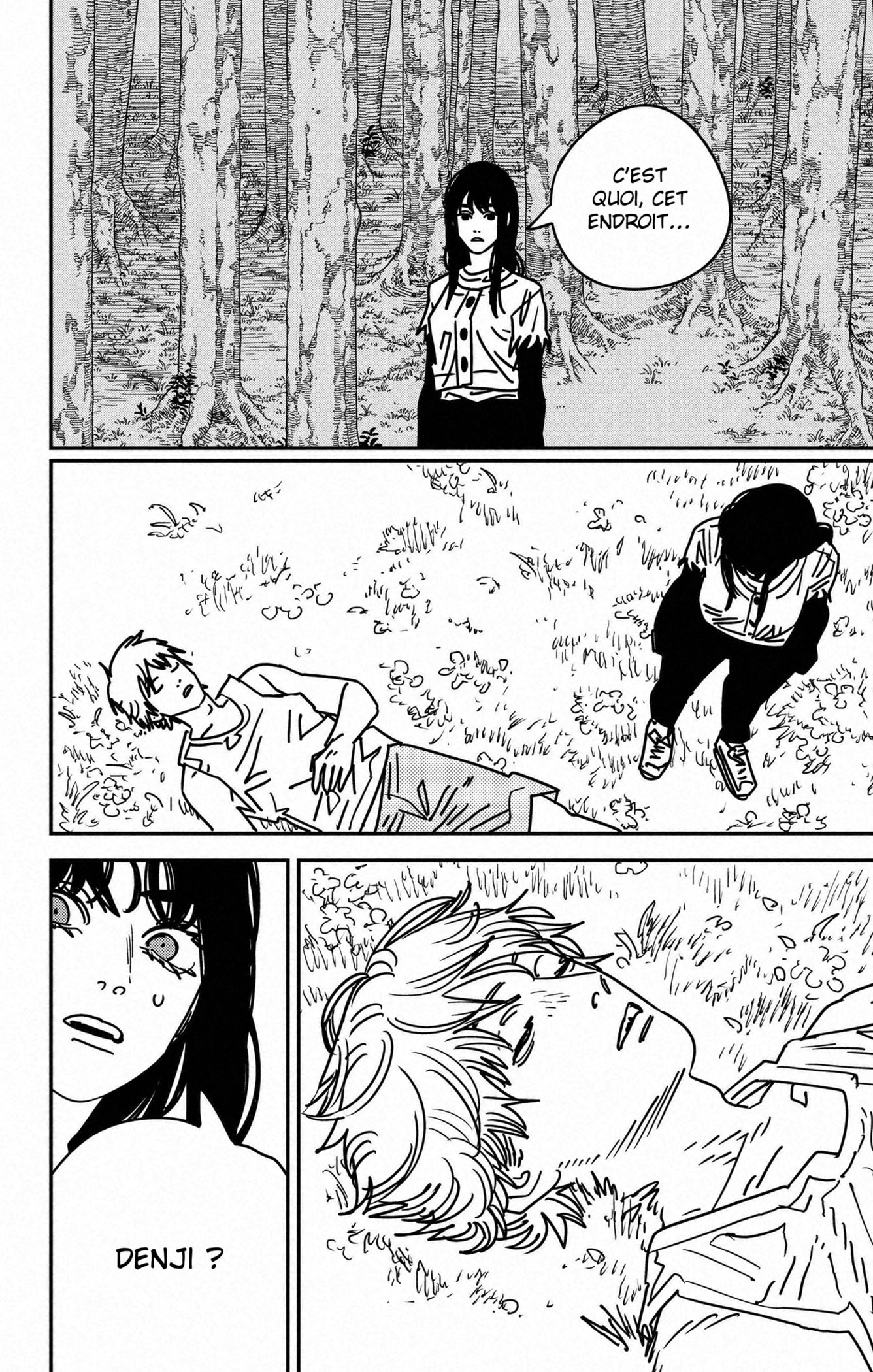 Read Chainsaw man (fr) Manga Online