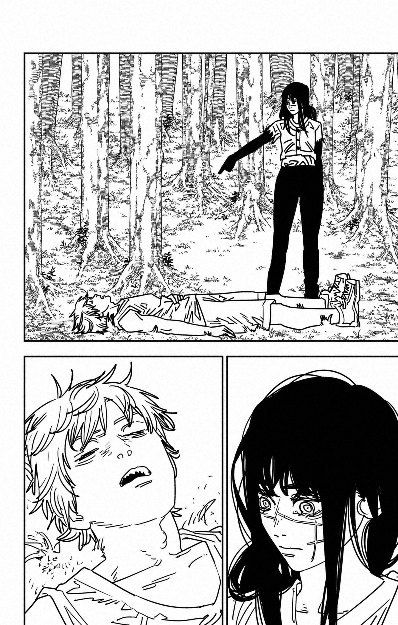 Read Chainsaw man (fr) Manga Online
