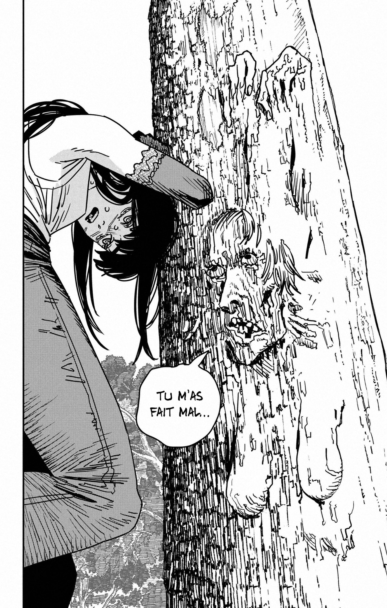 Read Chainsaw man (fr) Manga Online