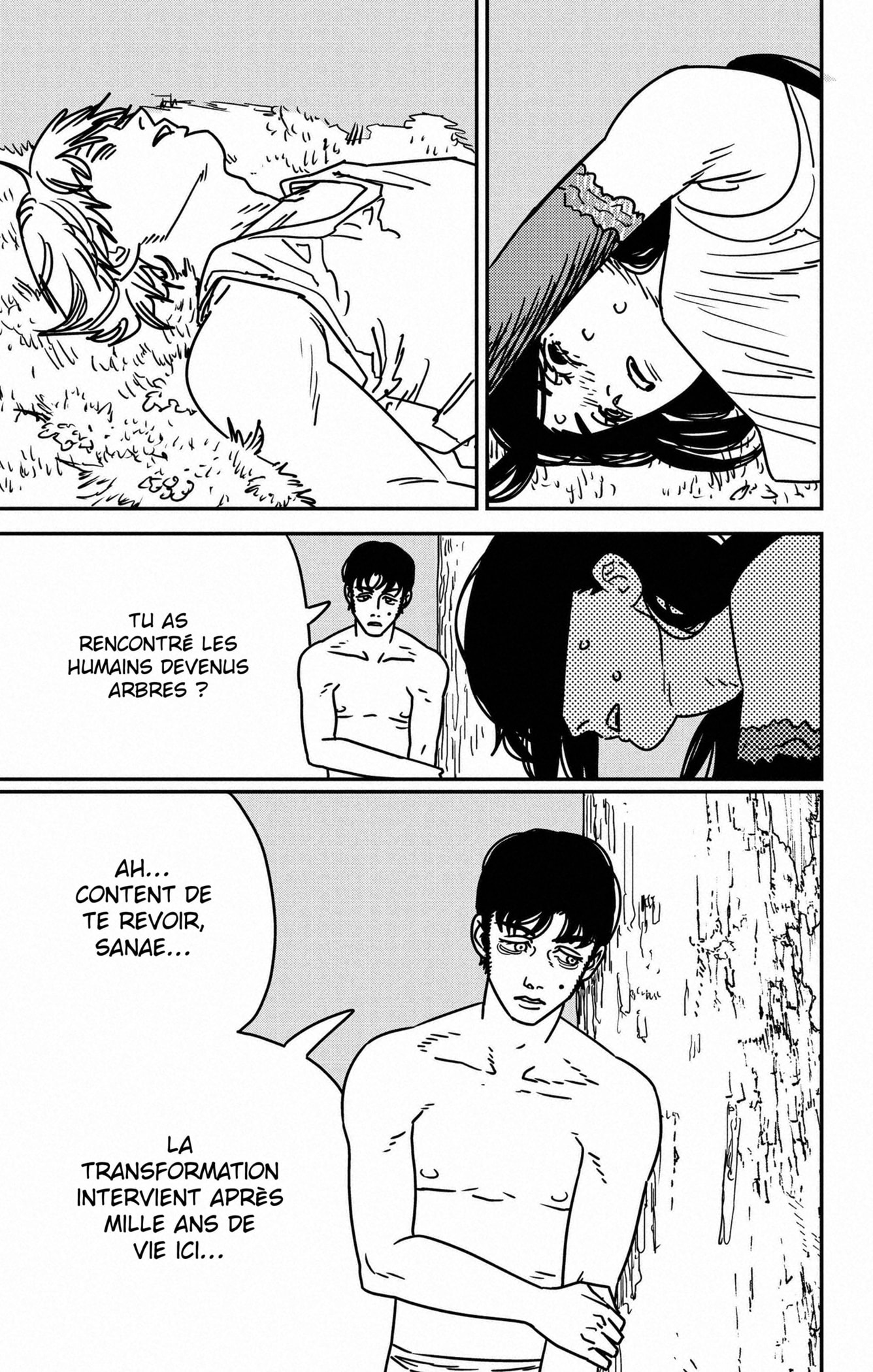 Read Chainsaw man (fr) Manga Online
