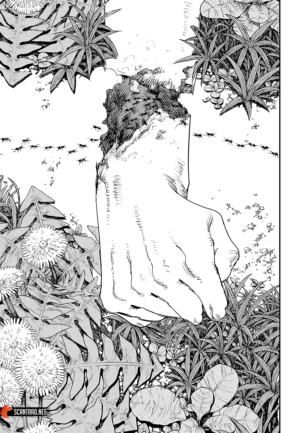 Read Chainsaw man (fr) Manga Online