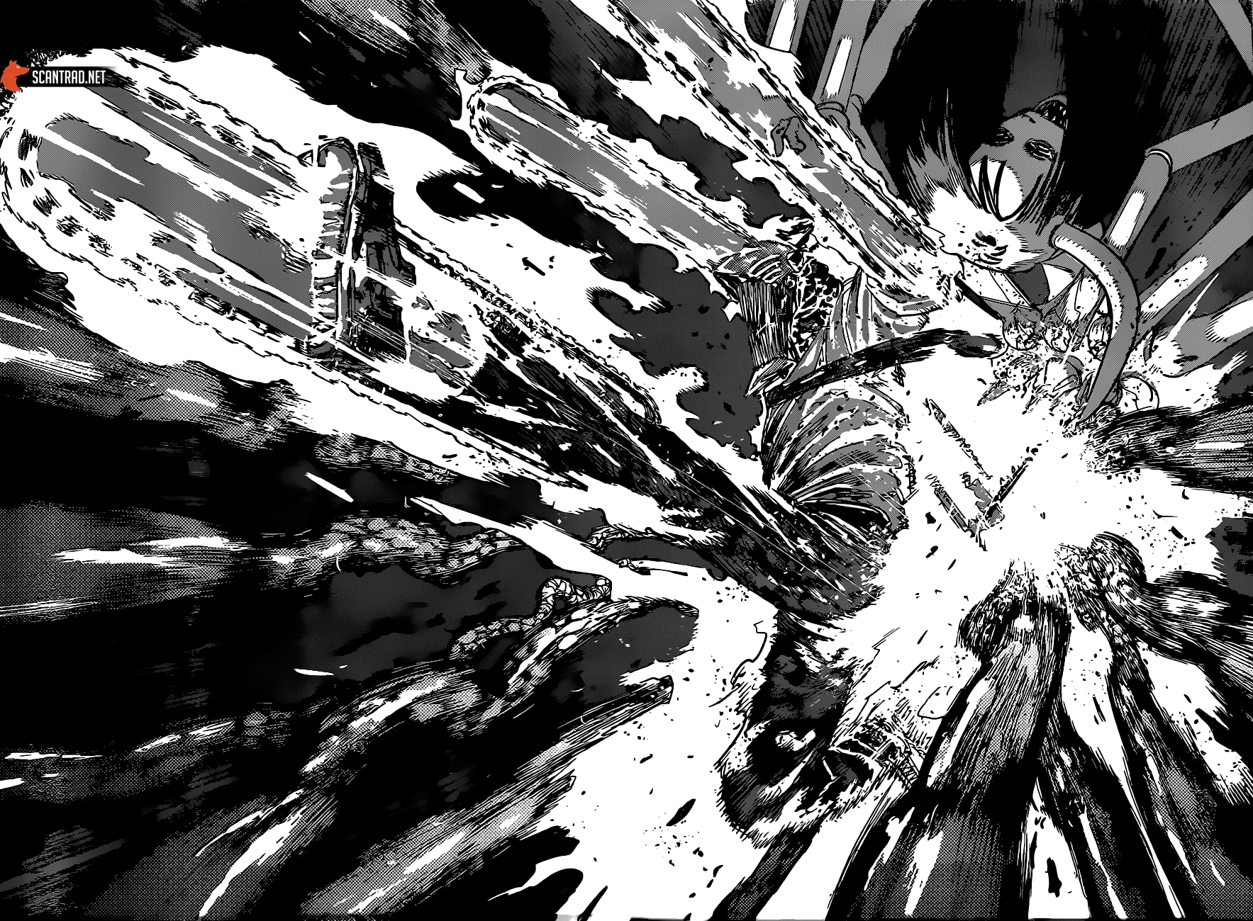 Read Chainsaw man (fr) Manga Online