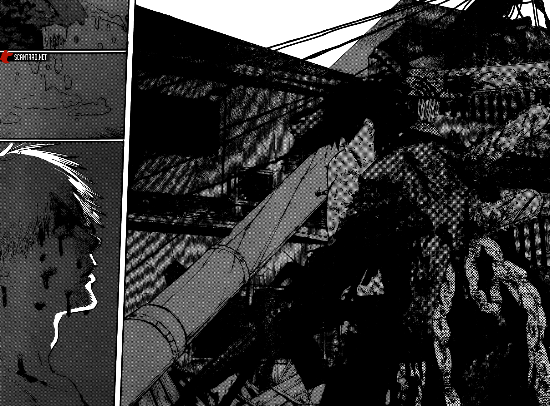Read Chainsaw man (fr) Manga Online