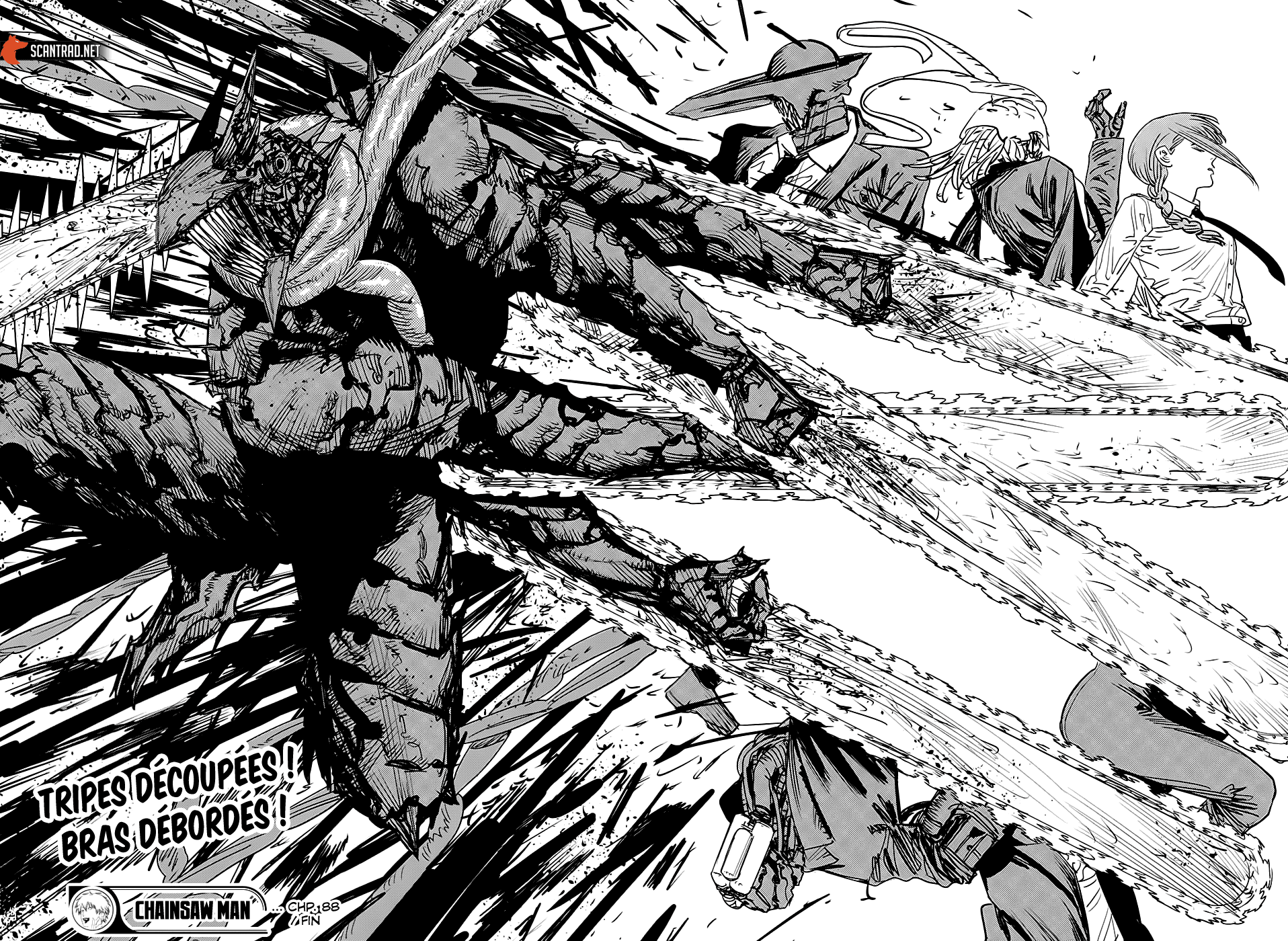Read Chainsaw man (fr) Manga Online