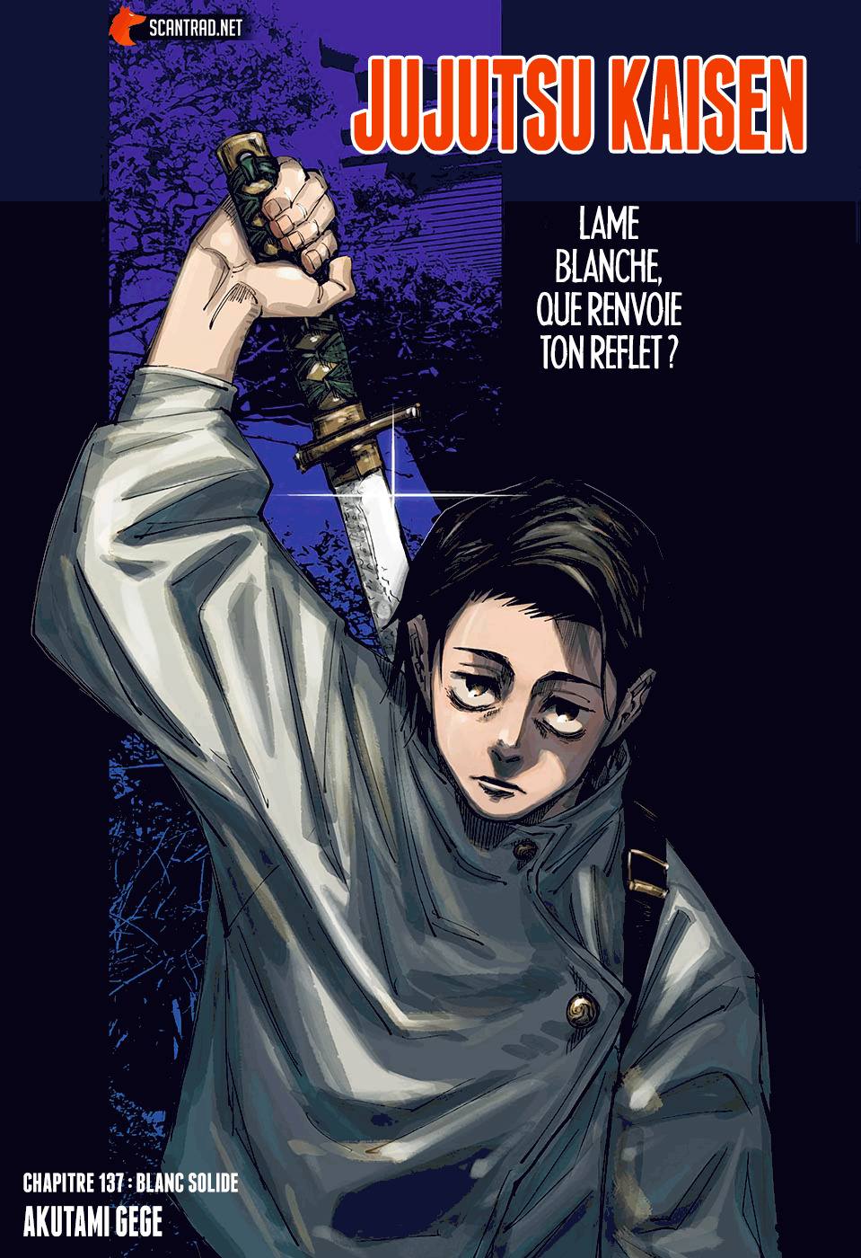 Read Jujutsu Kaisen (fr) Manga Online