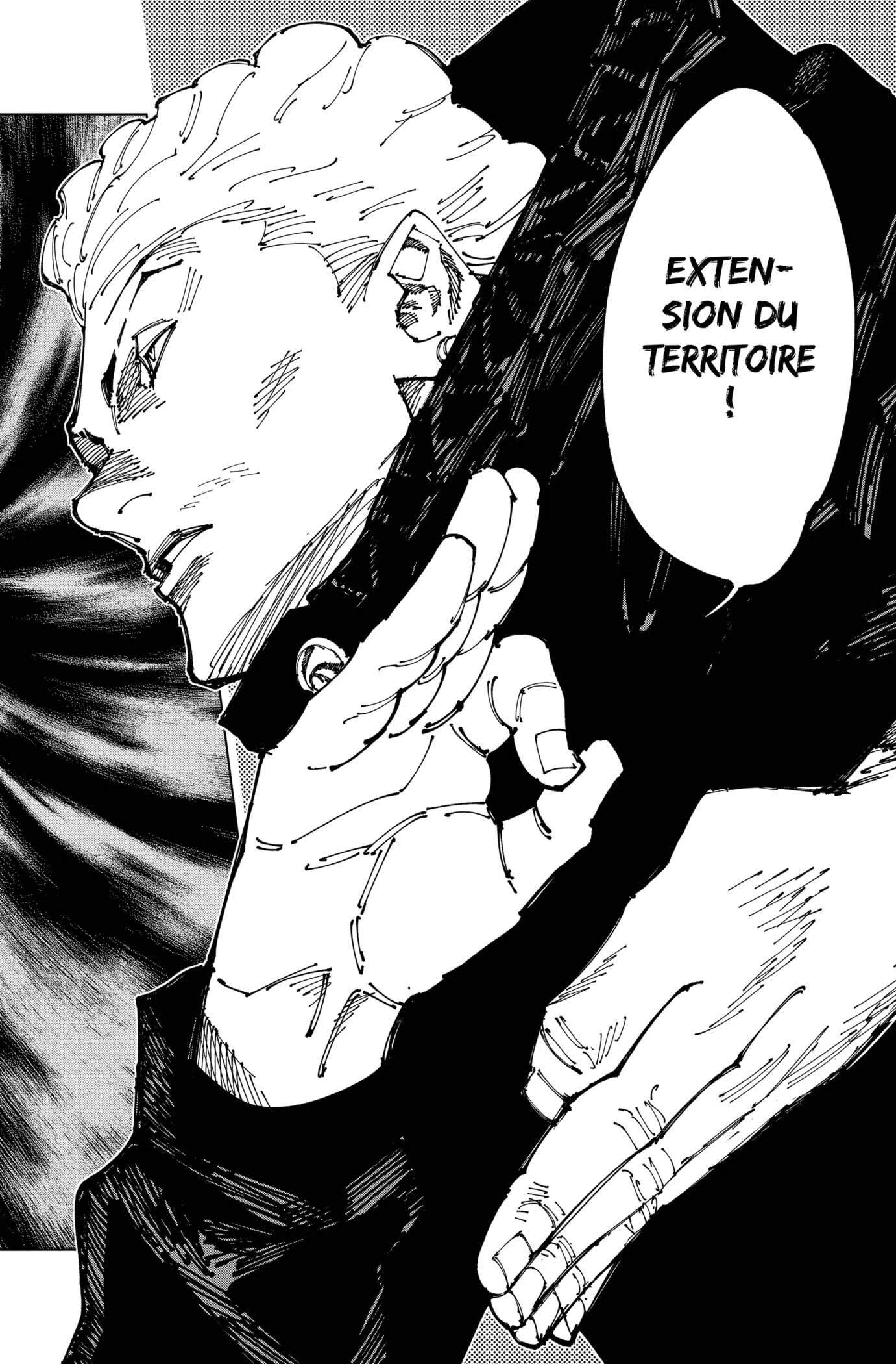 Read Jujutsu Kaisen (fr) Manga Online