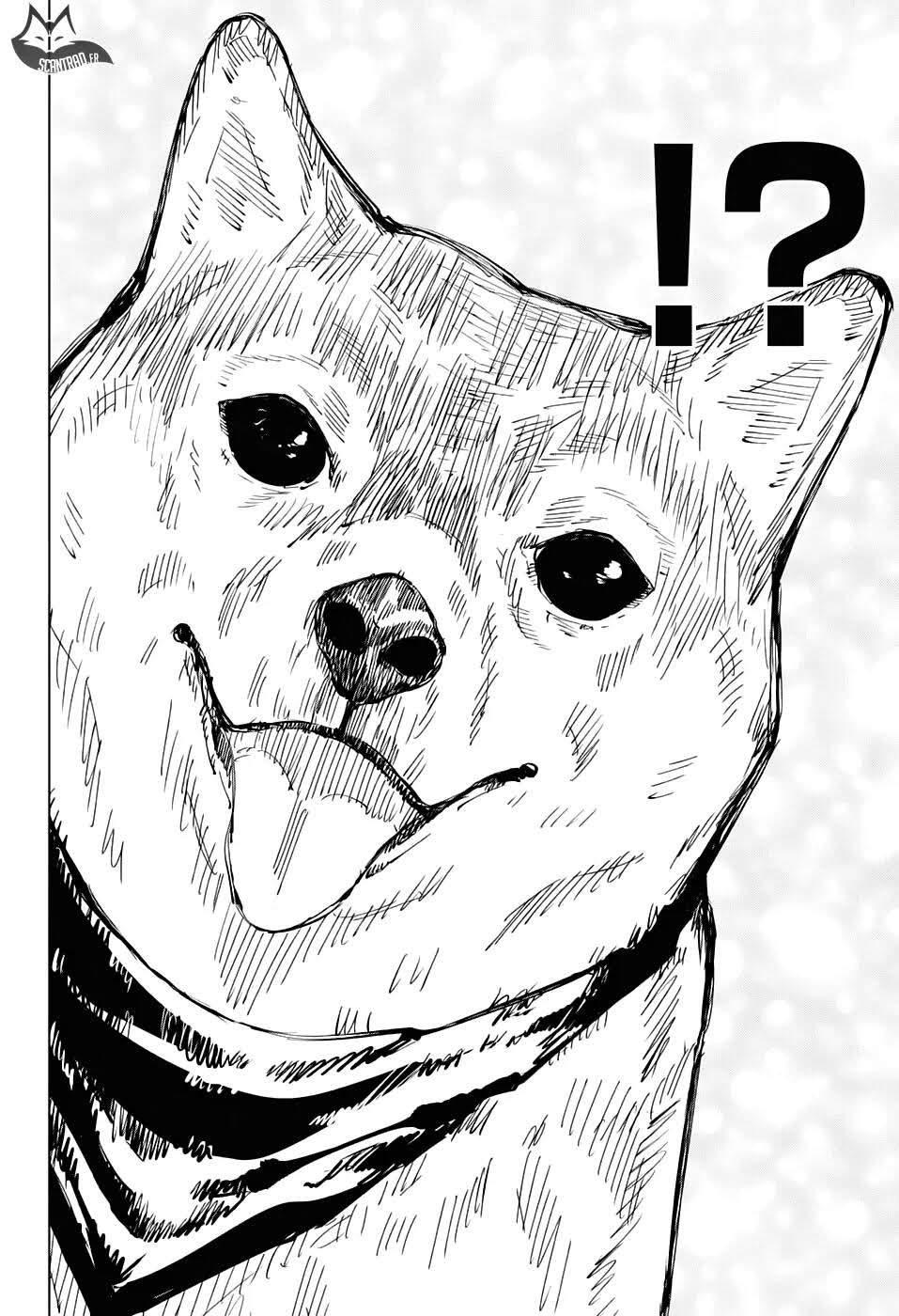 Read Jujutsu Kaisen (fr) Manga Online