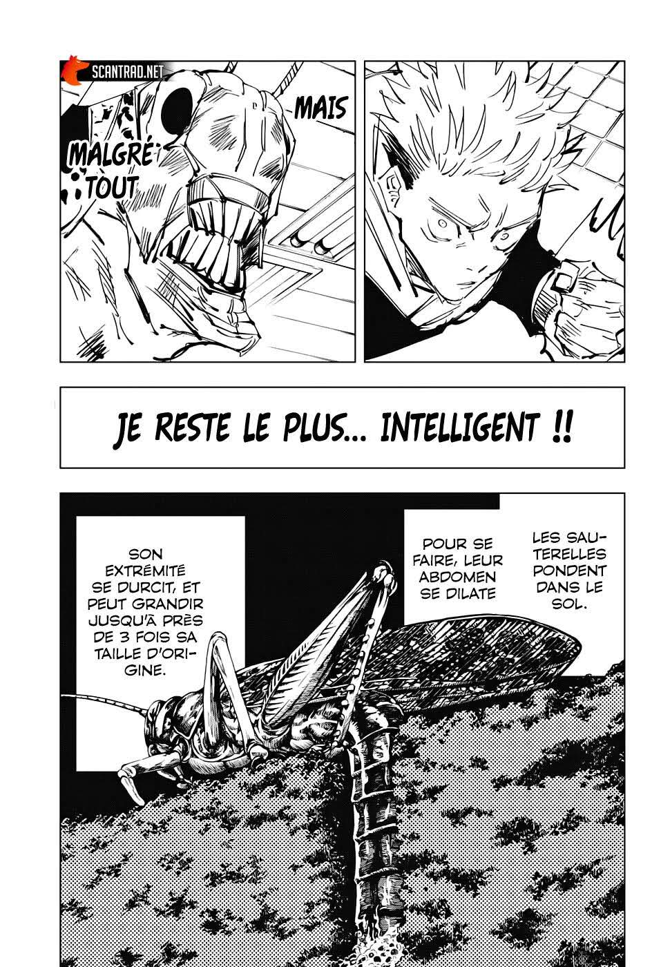 Read Jujutsu Kaisen (fr) Manga Online