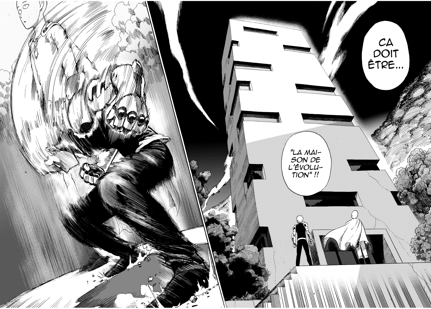 Read One Punch man (fr) Manga Online