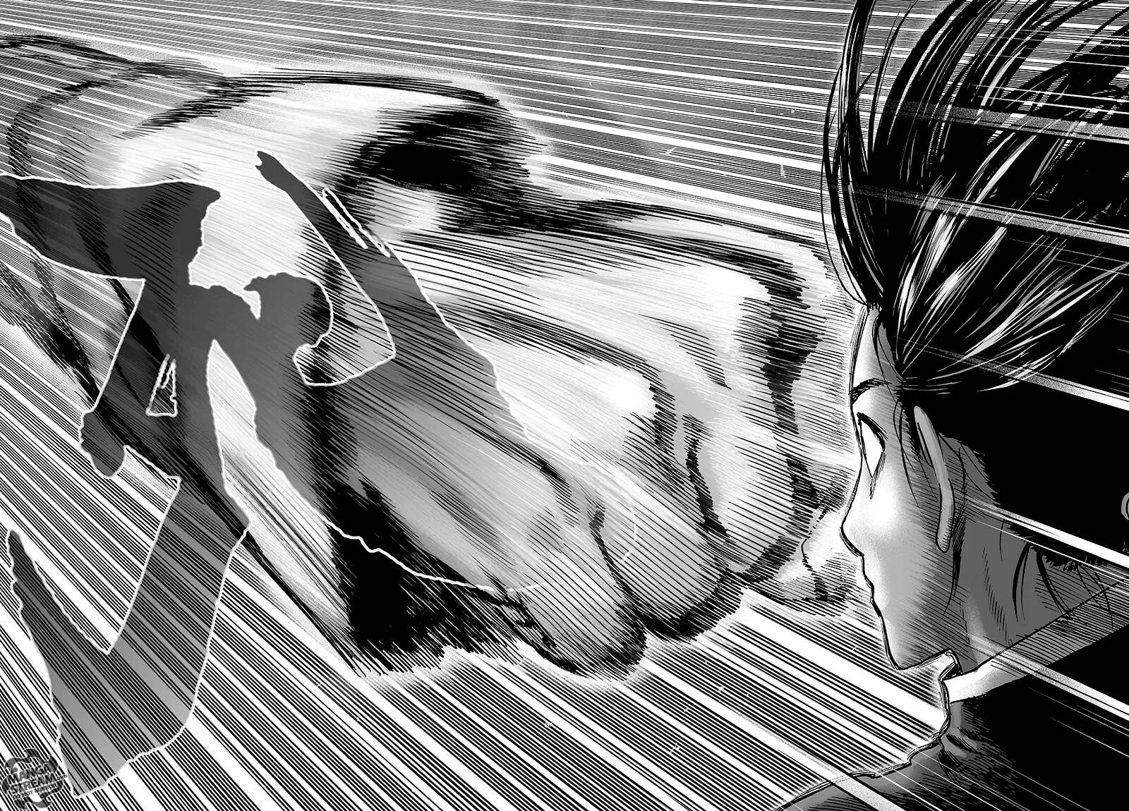 Read One Punch man (fr) Manga Online