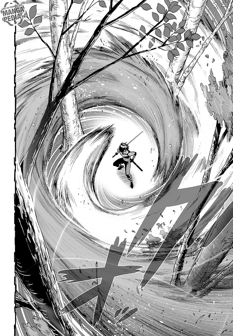 Read One Punch man (fr) Manga Online