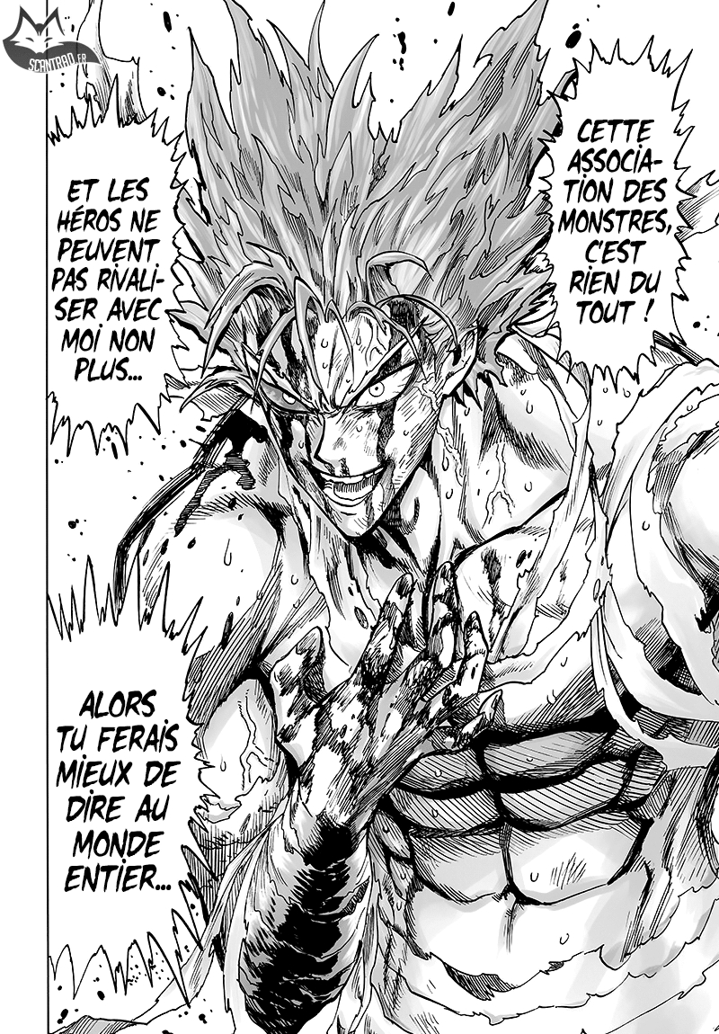 Read One Punch man (fr) Manga Online