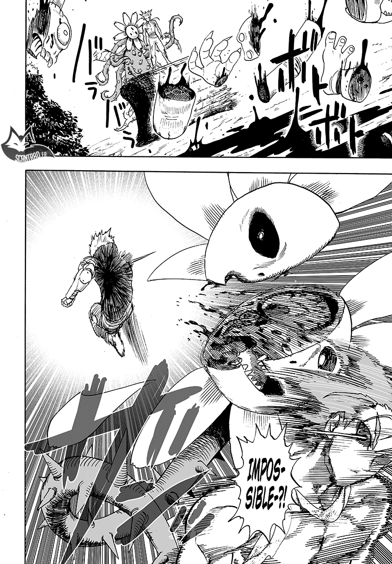 Read One Punch man (fr) Manga Online
