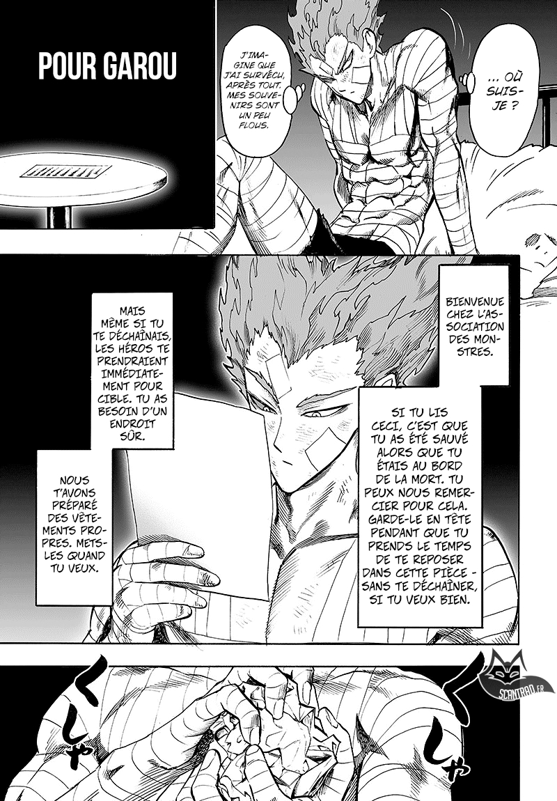 Read One Punch man (fr) Manga Online