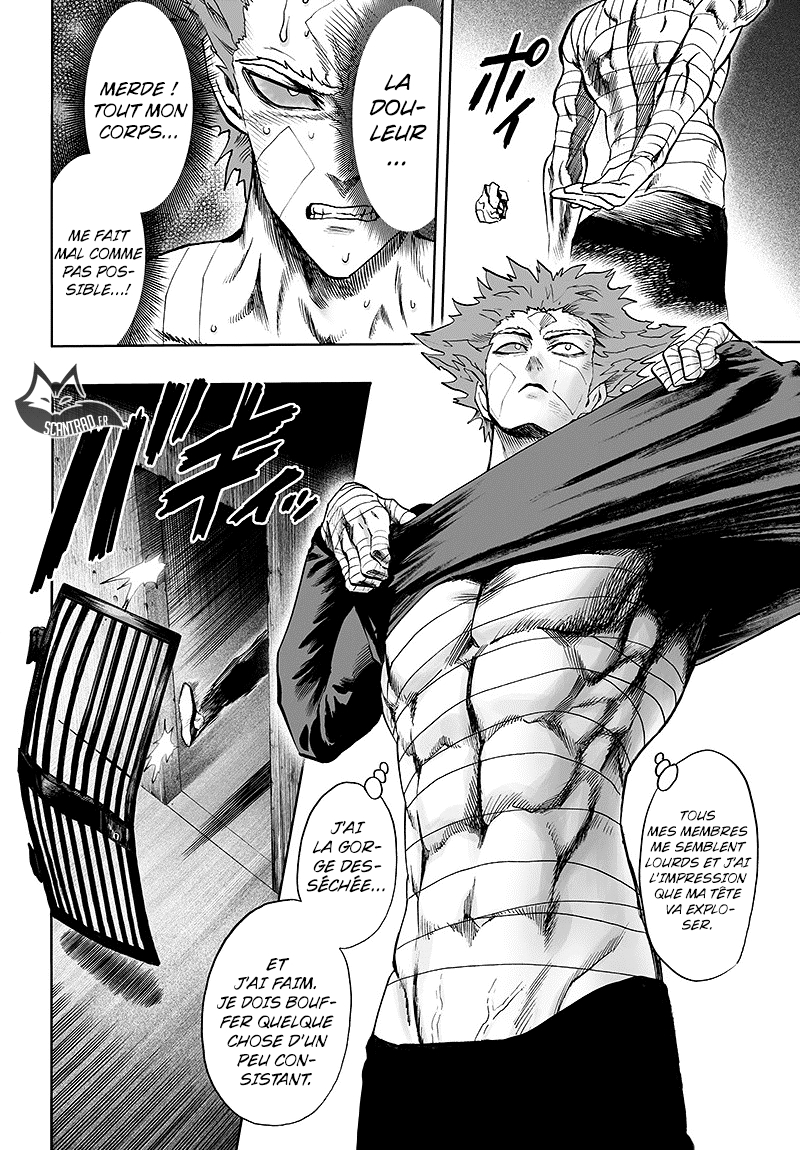 Read One Punch man (fr) Manga Online