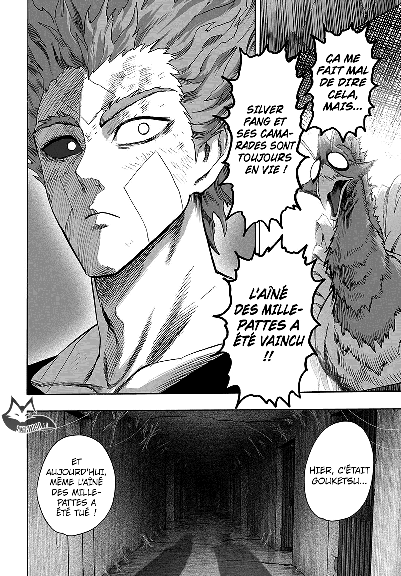 Read One Punch man (fr) Manga Online